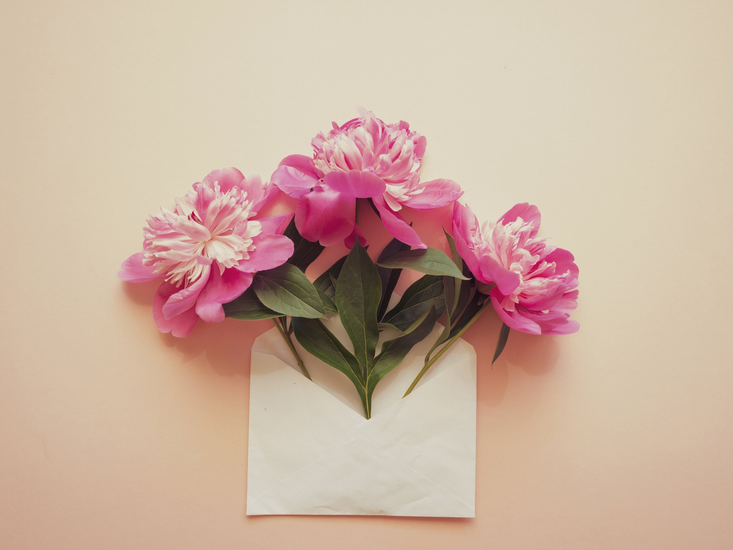 White Envelope with Pink Peonies on a Pink Background